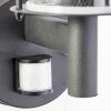Brilliant Detroit Outdoor Wall Light black, 1-light source, Motion sensor