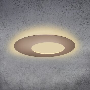 Escale BLADE OPEN Ceiling Light LED brown, 1-light source