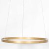 Steinhauer Ringlux Pendant Light LED gold, 2-light sources