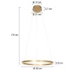 Steinhauer Ringlux Pendant Light LED gold, 2-light sources