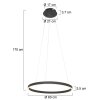 Steinhauer Ringlux Pendant Light LED black, 2-light sources