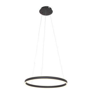 Steinhauer Ringlux Pendant Light LED black, 2-light sources