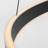 Steinhauer Ringlux Pendant Light LED black, 3-light sources
