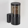Tolsona Outdoor Wall Light black, 1-light source