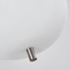 Verbania Pendant Light matt nickel, 8-light sources