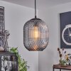 Crabinaille Pendant Light black, 1-light source
