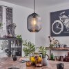Crabinaille Pendant Light black, 1-light source