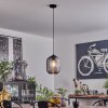 Crabinaille Pendant Light black, 1-light source