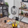 Crabinaille Pendant Light black, 1-light source