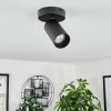 Trutielle Ceiling Light black, 1-light source
