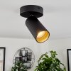 Trutielle Ceiling Light black, 1-light source