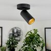 Trutielle Ceiling Light black, 1-light source
