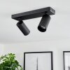 Trutielle Ceiling Light black, 2-light sources