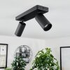 Trutielle Ceiling Light black, 2-light sources