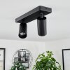 Trutielle Ceiling Light black, 2-light sources