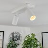 Trutielle Ceiling Light white, 2-light sources
