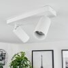 Trutielle Ceiling Light white, 2-light sources