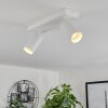 Trutielle Ceiling Light white, 2-light sources