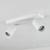 Trutielle Ceiling Light white, 2-light sources