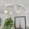 Trutielle Ceiling Light white, 4-light sources