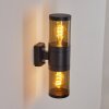Tolsona Outdoor Wall Light black, 2-light sources