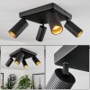 Trutielle Ceiling Light black, 4-light sources