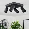 Trutielle Ceiling Light black, 4-light sources