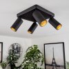 Trutielle Ceiling Light black, 4-light sources