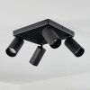 Trutielle Ceiling Light black, 4-light sources