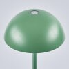 Pelaro Table lamp LED green, 1-light source