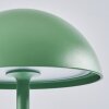 Pelaro Table lamp LED green, 1-light source