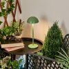 Pelaro Table lamp LED green, 1-light source