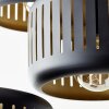 Brilliant Tyas Pendant Light black, 3-light sources