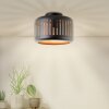 Brilliant Tyas Ceiling Light black, 1-light source