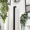 Dubuisson Floor Lamp LED anthracite, 1-light source, Remote control
