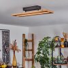Adak Ceiling Light LED black, 1-light source