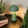 Telve Table lamp LED green, 1-light source