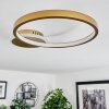 Bina Ceiling Light LED brass, 1-light source, Remote control