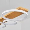Rodekro Pendant Light LED white, 1-light source