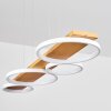 Rodekro Pendant Light LED white, 1-light source