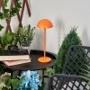 Pelaro Table lamp LED orange, 1-light source