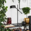 Camori Table lamp black, 1-light source