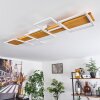 Pompu Ceiling Light LED white, 1-light source