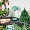 Bellange Table lamp LED green, 1-light source