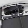 Daynard Ceiling Light black, 1-light source