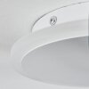 Bina Ceiling Light LED white, 1-light source, Remote control