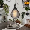 Barthoid Pendant Light black, 1-light source