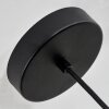 Barthoid Pendant Light black, 1-light source