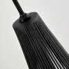 Barthoid Pendant Light black, 1-light source