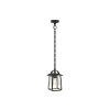 Lutec Kelsey outdoor Pendant Light black, 1-light source